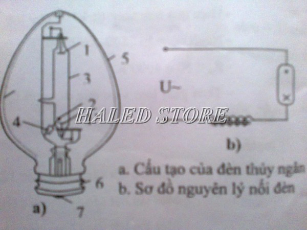 Sơ đồ cấu tạo của đèn cao áp thủy ngân