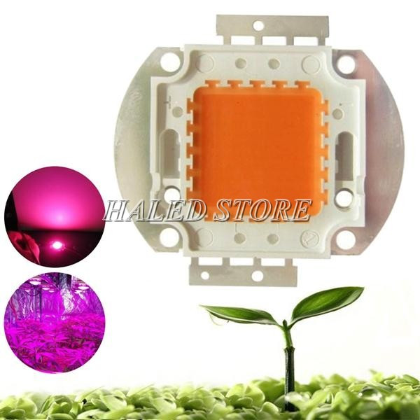 Ứng dụng của chip LED 100W COB
