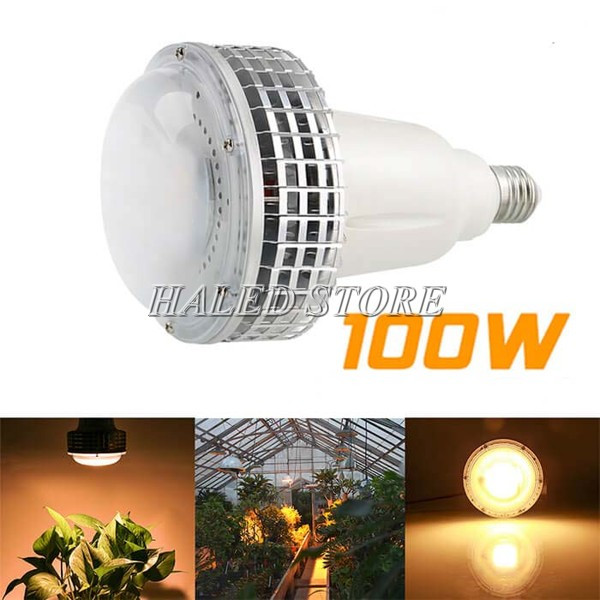 Chip LED 100w ứng dụng trong chiếu sáng nông nghiệp