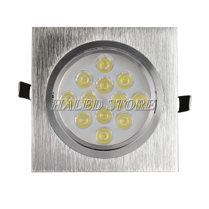 den-led-am-tran-12w