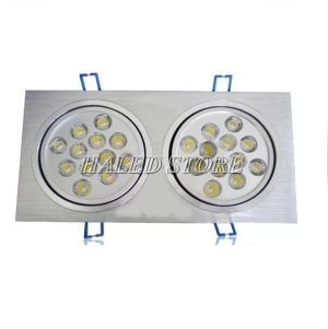 den-led-am-tran-hldadlv2-24