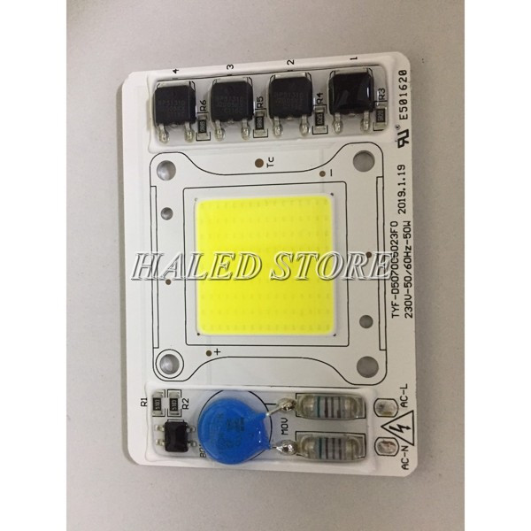 Chip LED 50w 220V