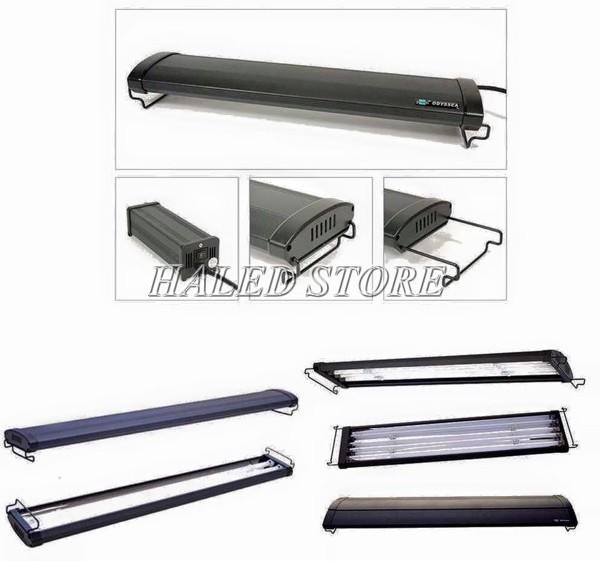 Mẫu đèn thủy sinh thông dụng hiện nay