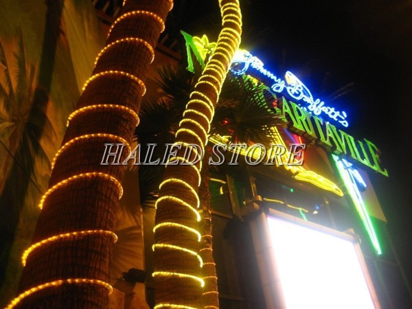 LED dây 2835 trang trí thân cây và chữ