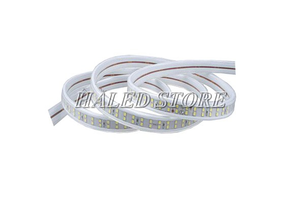 LED dây 2 hàng 