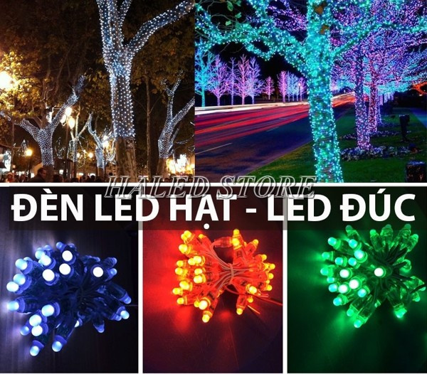 Hình ảnh là ứng dụng LED dây hạt đúc