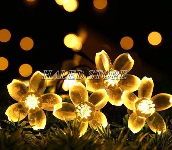 Đèn hình hoa mai lạ mắt