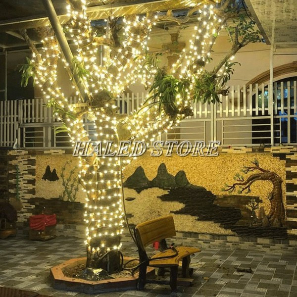 LED dây được sử dụng để quấn thân cây