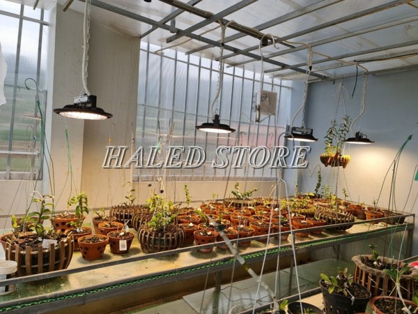 Đèn LED UFO cho ánh dễ chịu