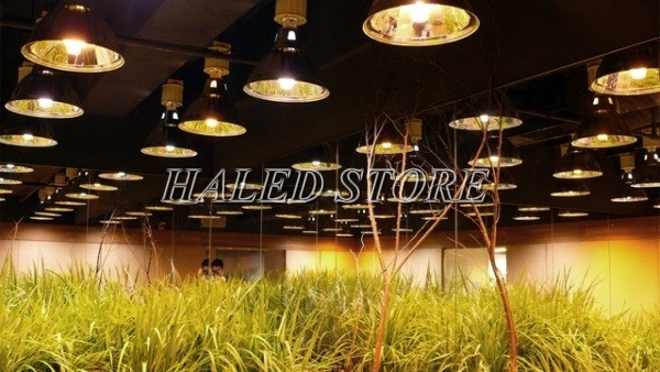 Dimmer thay đổi độ sáng và từ đó thay đổi nhiệt của đèn