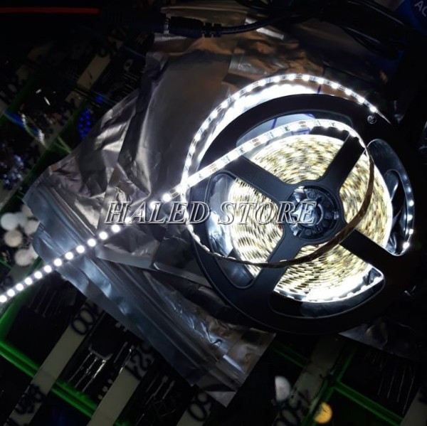 Đèn LED dây 3825 bản 4 ly một màu