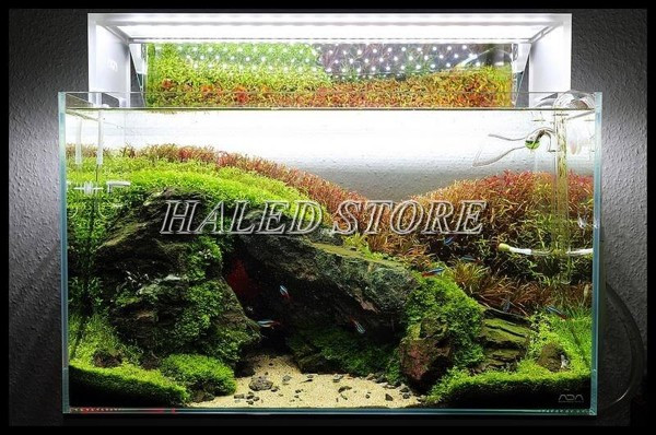 Có thể mở đèn liên tục từ 8 - 12 tiếng