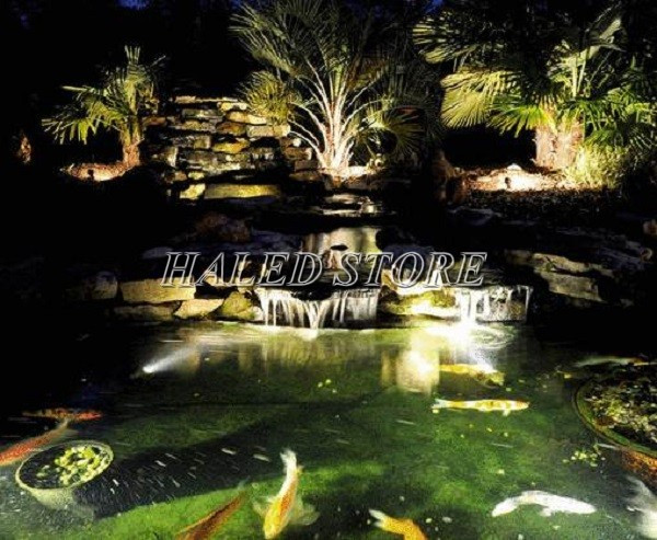 Đèn LED chiếu sáng hồ cá Koi