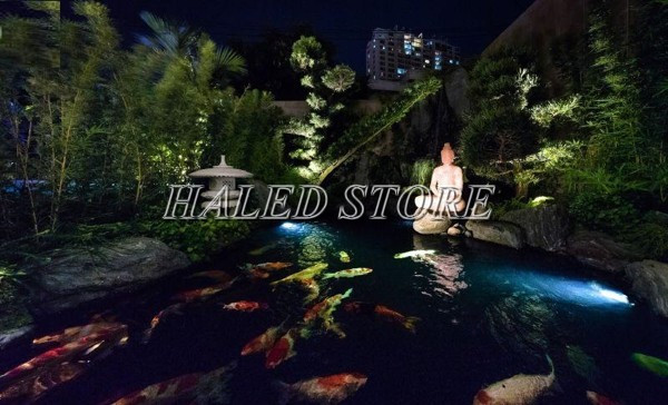 Đèn LED âm nước chiếu sáng hồ cá Koi