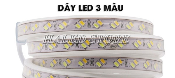 Dây LED 3 màu