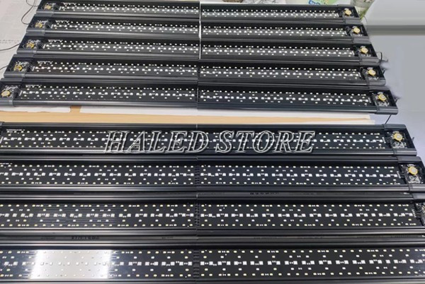 Mặt nước là hệ thống chip LED đèn bể cá nước mặn