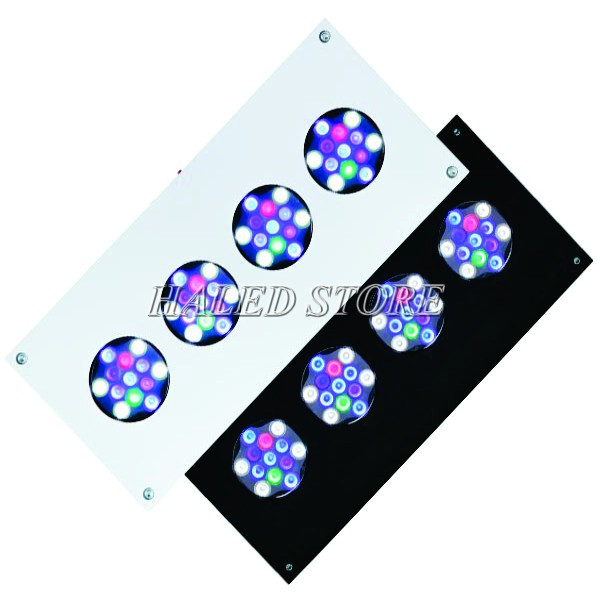 Mặt đèn sử dụng 4 cụm chip LED