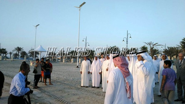 Đèn đường năng lượng mặt trời HLDAMTS10-20 chiếu sáng ngoài trời