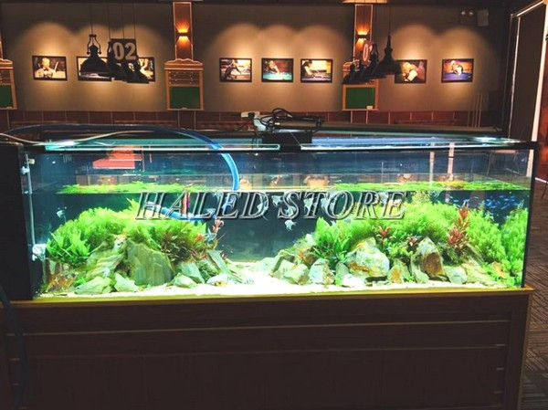 Ánh sáng đèn LED khiến bể cá thêm lung linh hơn