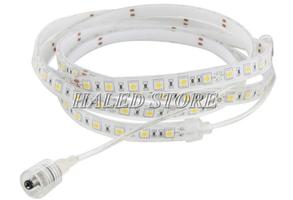 Đèn LED dây đạt IP68