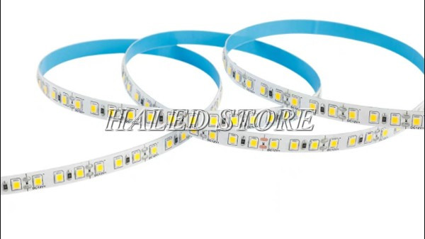 Đèn LED dây dưới nước