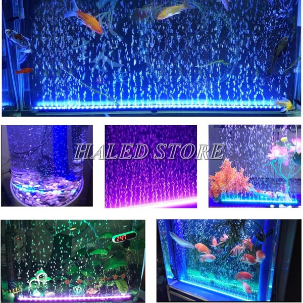 Hình ảnh đèn LED dây trang trí bể cá