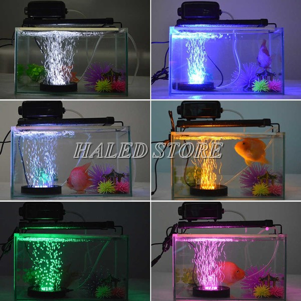 Có thể lắp chìm hoặc gắn lên thành 