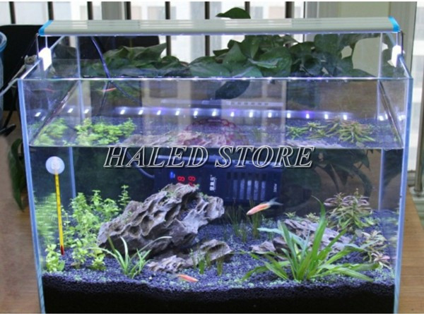 Đèn máng hồ cá ánh sáng trắng