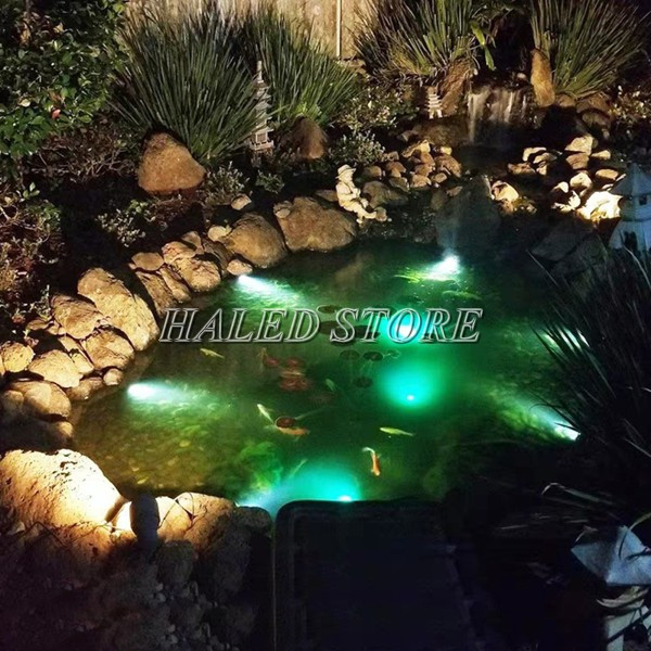 Đèn LED âm nước lắp đặt hồ cá Koi
