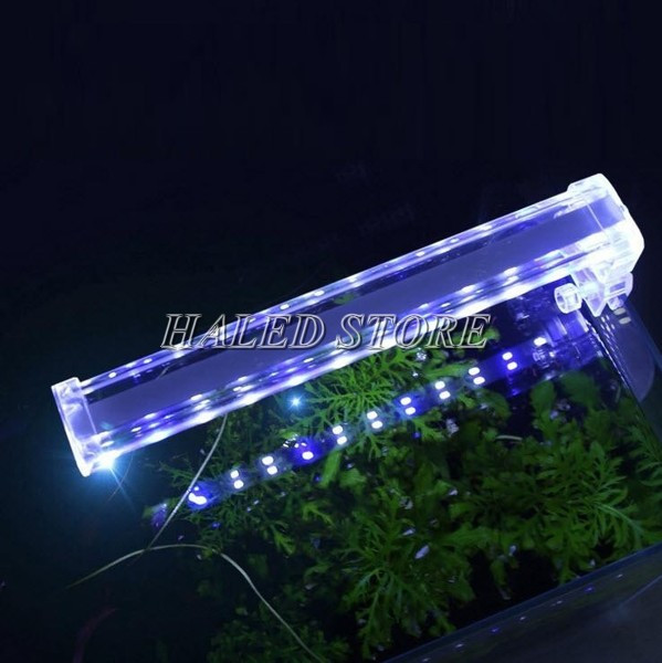 Đèn chiếu sáng hồ cá mini