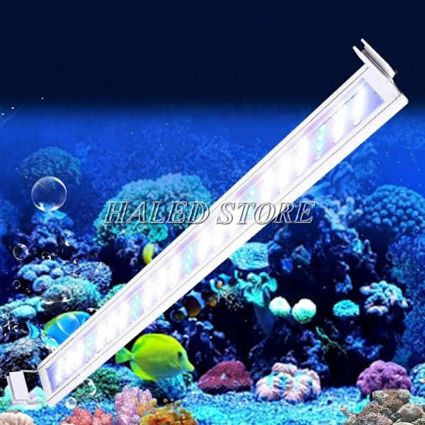 Đèn máng kẹp thành bể cá 