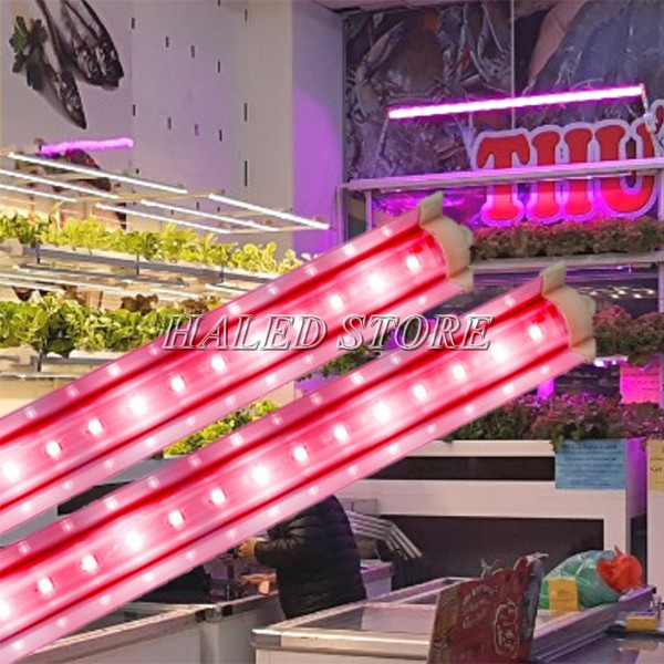 Phổ ánh sáng 100% Red