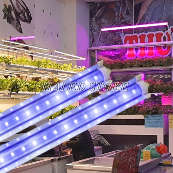 Đèn ánh sáng xanh thích hợp sử dụng trong phòng nghiên cứu