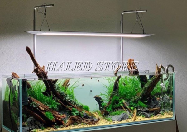 Đèn sử dụng giá để treo sẽ cho góc chiếu rộng hơn