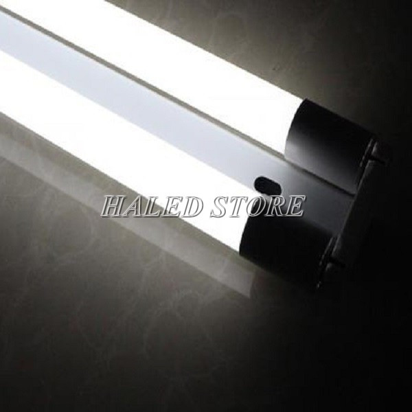 Đèn tuýp led 1m2 thương hiệu Haledco