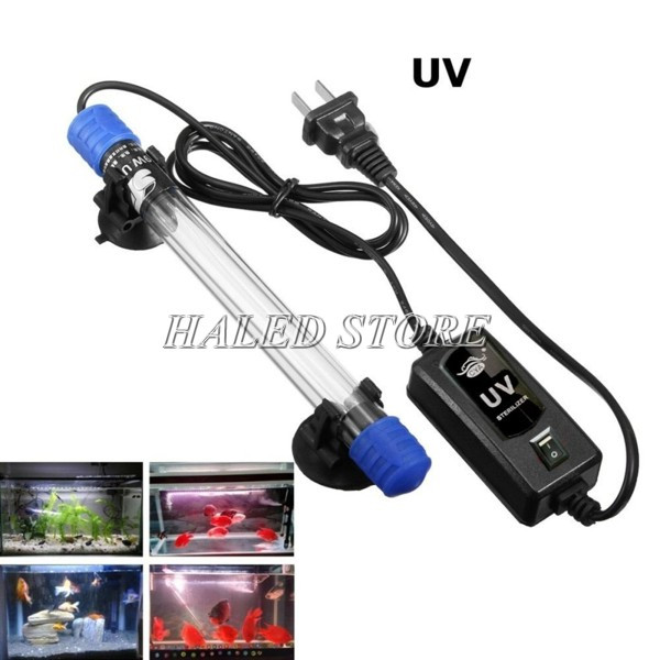 Đèn UV cho chức năng diệt khuẩn