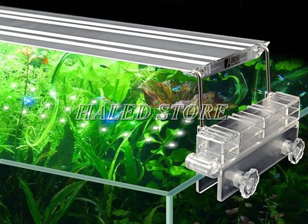 Đèn có phần cài thành bể được sử dụng khá phổ biến