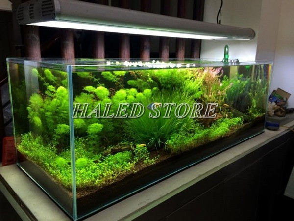 Máng đèn cho bể thủy sinh treo thả 