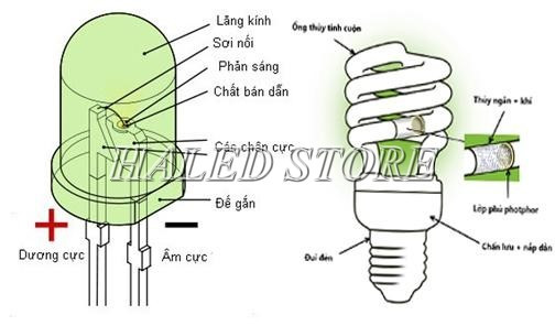 Cấu tạo đèn compact