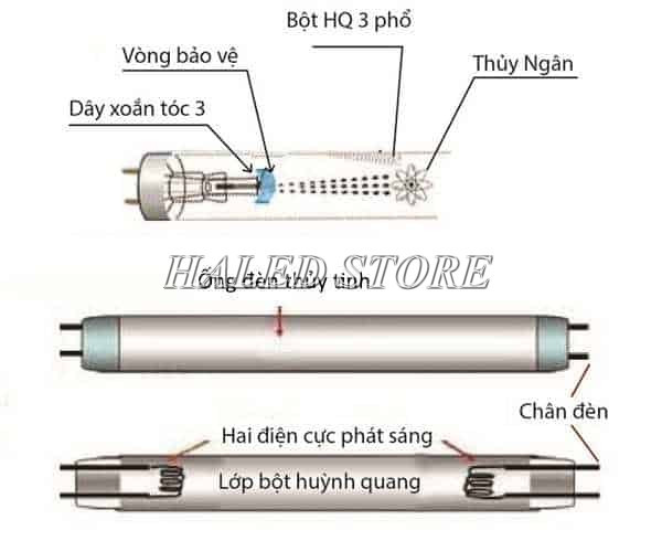 Cấu tạo đèn huỳnh quang