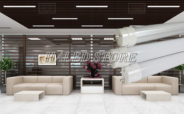 Chiếu sáng sảnh tòa nhà