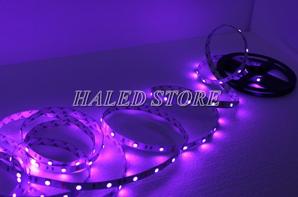 Dây đèn LED màu tím chip 5050