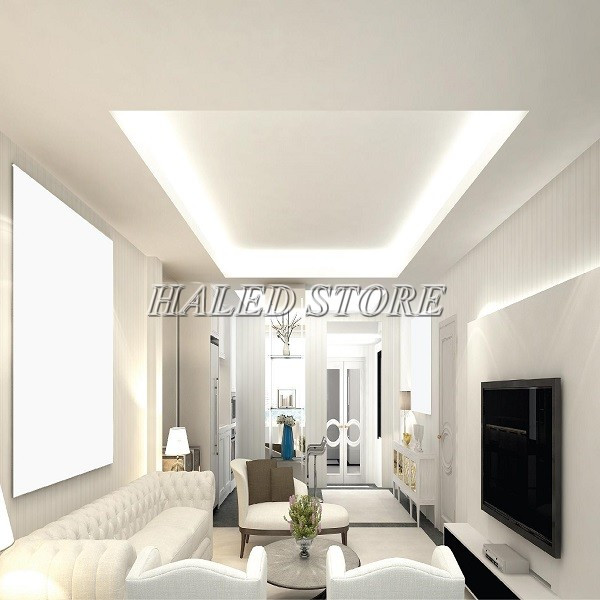 Đèn LED dây Rạng Đông được sử dụng nhiều trong đời sống hiện nay