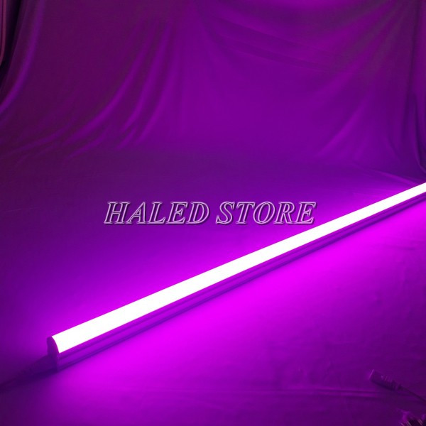 ĐĐèn LED màu tím tuýp LEDèn LED màu tím tuýp LED