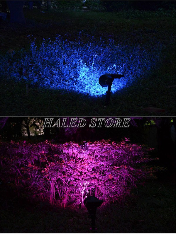 Chọn màu ánh sáng bắt mắt