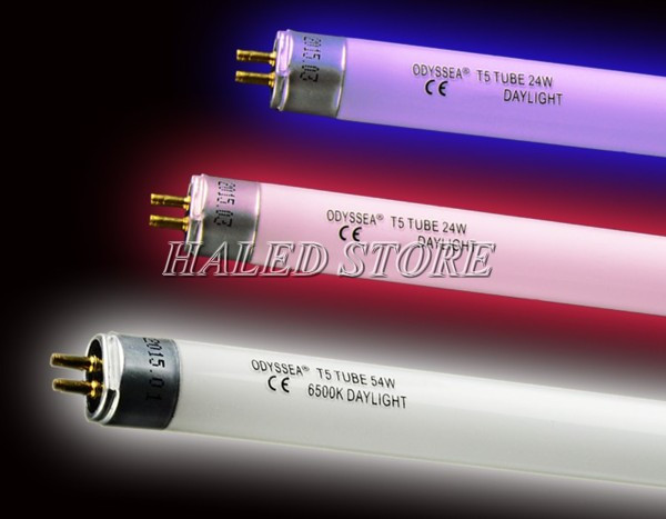 Đèn LED T5 Odyssea 1m2