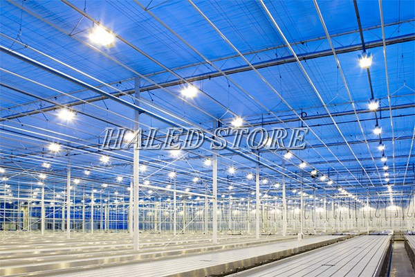 DHDA LSC125 chiếu sáng nhà xưởng