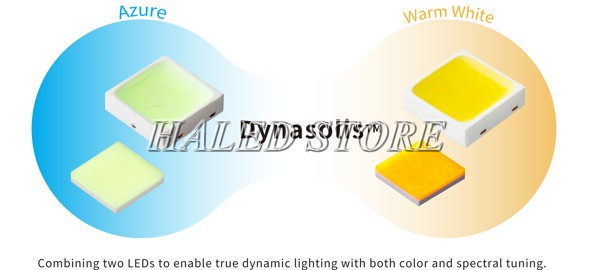 Dynasolis ™ LED