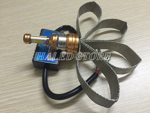 Kiểu dáng đèn LED đuôi công 2 tim dành riêng cho Dream