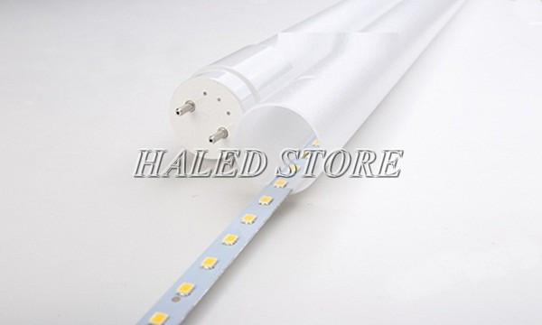 Đèn T8 cho cá rồng